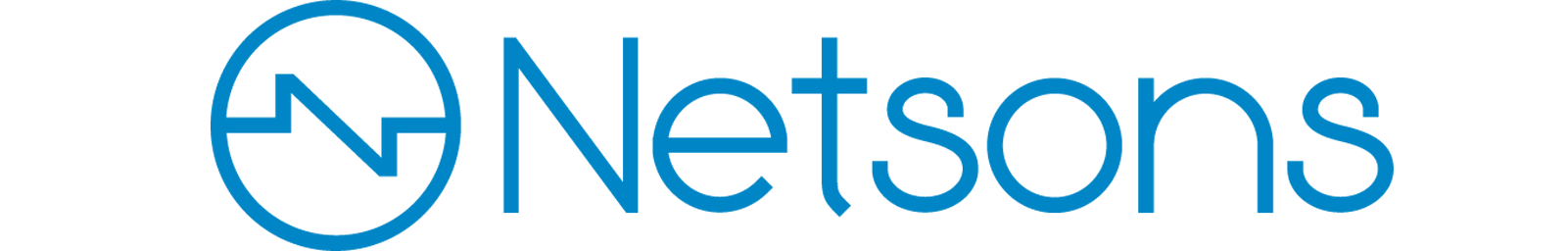 Netsons Logo